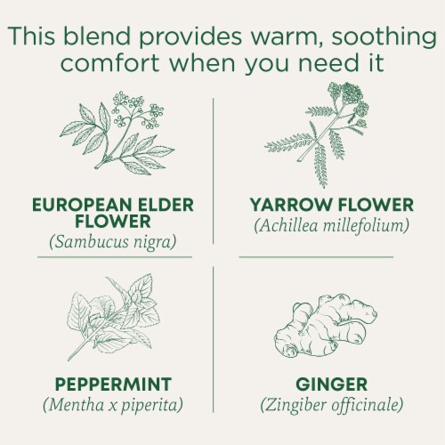 Traditional Medicinals Organic Herbal Cold Care Tea Perspective: left