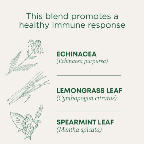 Traditional Medicinals Organic Echinacea Plus Tea Perspective: left
