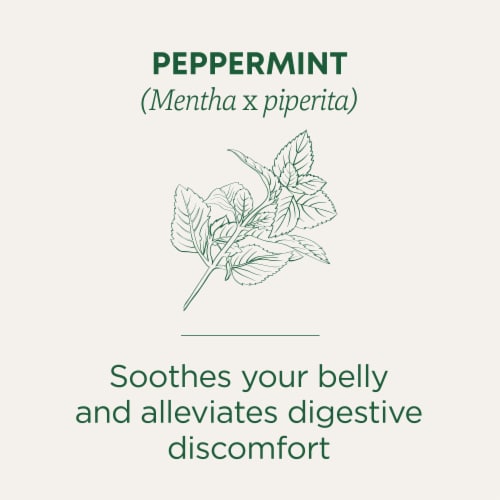 Traditional Medicinals Organic Peppermint Tea Perspective: left