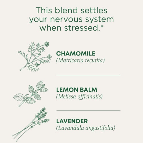 Traditional Medicinals Organic Chamomile & Lavender Tea Perspective: left
