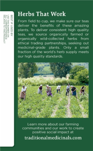 Traditional Medicinals® Organic Raspberry Leaf Tea Bags Perspective: left