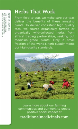 Traditional Medicinals Organic Golden Green Tea Bags Perspective: left