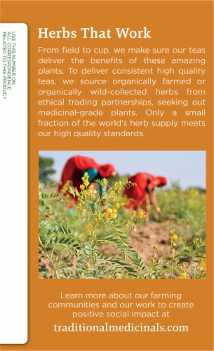 Traditional Medicinals® Organic Ginger Aid Tea Bags Perspective: left