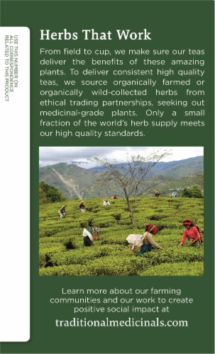 Traditional Medicinal Organic Ginger with Chamomile Tea Bags Perspective: left