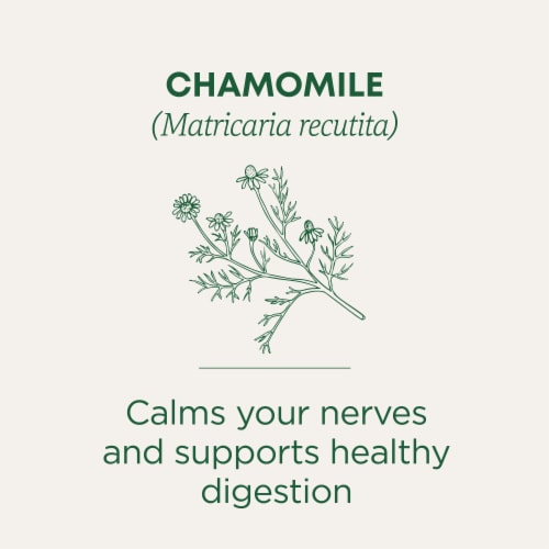 Traditional Medicinals Organic Chamomile Tea Perspective: left