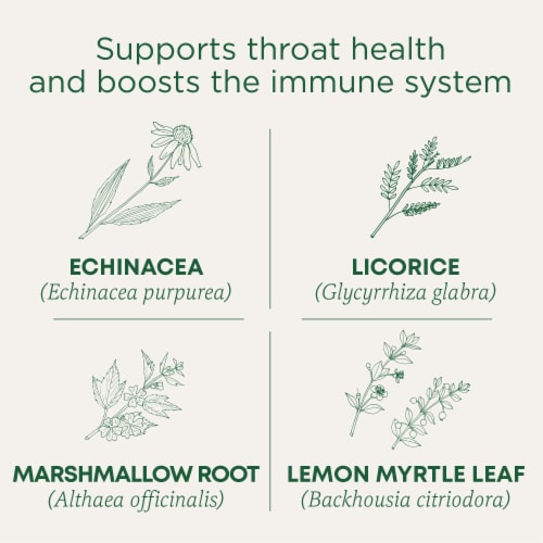 Traditional Medicinals Organic Throat Coat Lemon Echinacea Tea Perspective: left