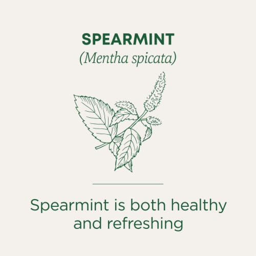 Traditional Medicinals Organic Spearmint Tea Perspective: left