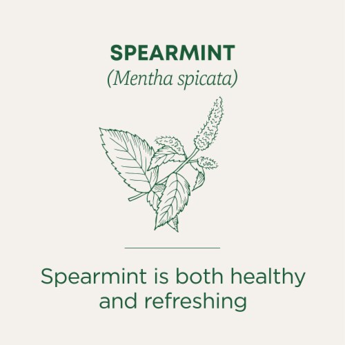 Traditional Medicinals Organic Spearmint Tea Perspective: left
