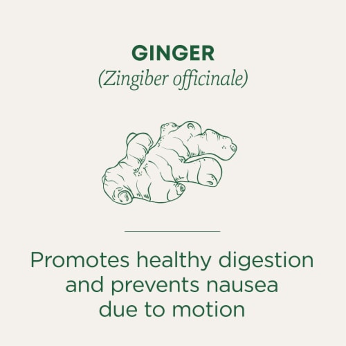 Traditional Medicinals Organic Ginger Tea Perspective: left