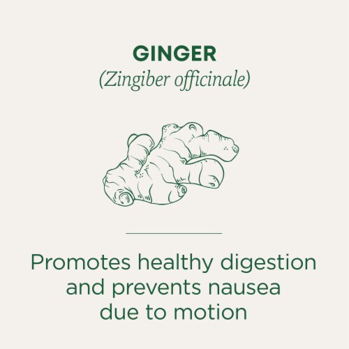 Traditional Medicinals Organic Ginger Tea Perspective: left
