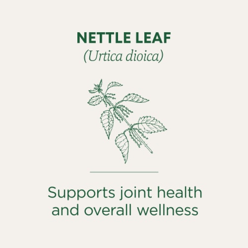 Traditional Medicinals Organic Nettle Leaf Tea Perspective: left
