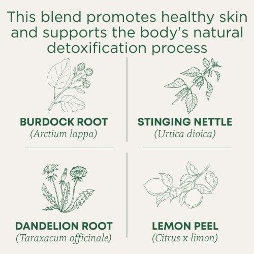 Traditional Medicinals Organic EveryDay Detox Lemon Tea Perspective: left