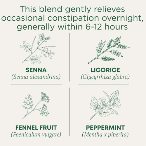 Traditional Medicinals Organic Smooth Move Peppermint Tea Perspective: left