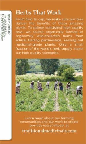 Traditional Medicinals Chamomile Mint Organic Gas Relief Herbal Tea Perspective: left