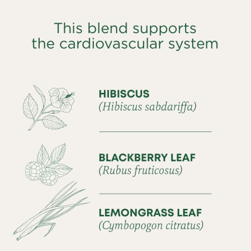 Traditional Medicinals Organic Hibiscus Tea Perspective: left