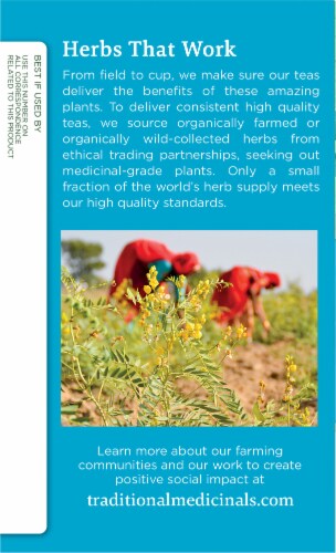 Traditional Medicinals® Organic EveryDay Detox Dandelion Herbal Tea Bags Perspective: left