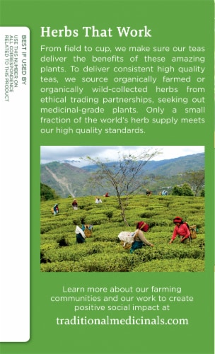 Traditional Medicinals Organic Green Tea Dandelion Perspective: left