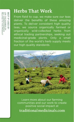 Traditional Medicinals® Organic Green Tea Dandelion Perspective: left