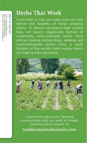 Traditional Medicinals® Organic Peppermint Green Tea Bags Perspective: left