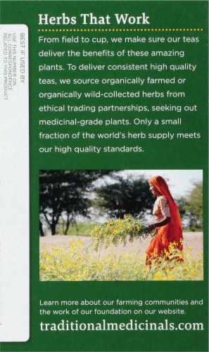 Traditional Medicinal Tulsi With Ginger Tea Bags 16 Count Perspective: left