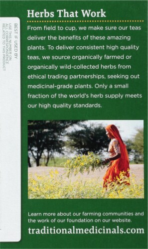 Traditional Medicinal Tulsi With Ginger Tea Bags 16 Count Perspective: left