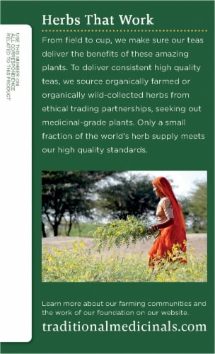 Traditional Medicinals® Organic Moringa With Spearmint and Sage Tea Bags Perspective: left