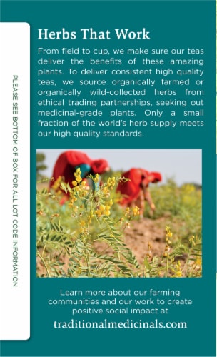 Traditional Medicinals® Organic Dandelion Chai Probiotic Tea Bags Perspective: left
