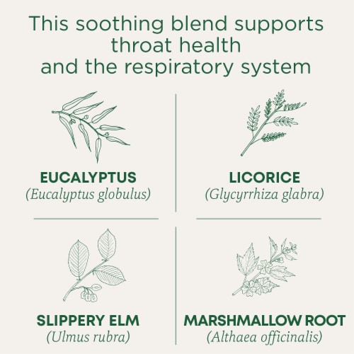 Traditional Medicinals Organic Throat Coat Eucalyptus Tea Perspective: left