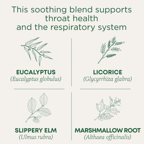 Traditional Medicinals Organic Throat Coat Eucalyptus Tea Perspective: left