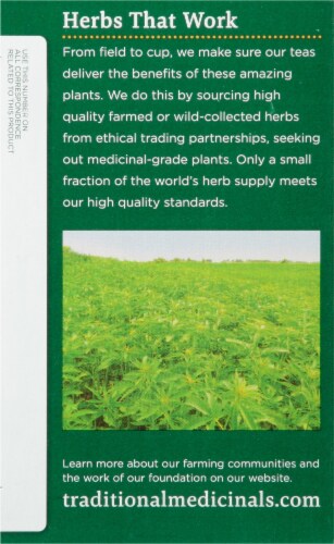 Traditional Medicinals Hemp + Meadowsweet Herbel Tea Perspective: left
