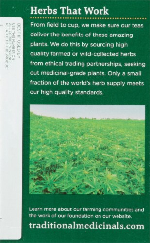 Traditional Medicinals Hemp + Guayusa Mint Herbal Tea Perspective: left