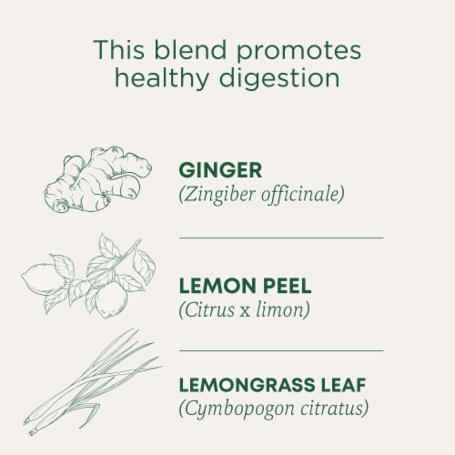 Traditional Medicinals Organic Lemon Ginger Tea Perspective: left