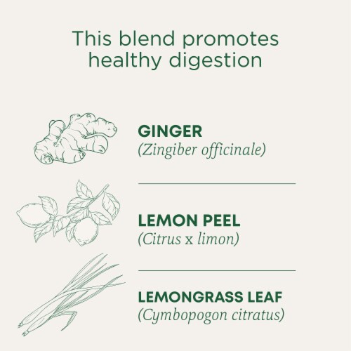 Traditional Medicinals Organic Lemon Ginger Tea Perspective: left