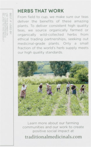 Traditional Medicinals Botanical Blends Blood Orange Digestive Support Herbal Tea Perspective: left