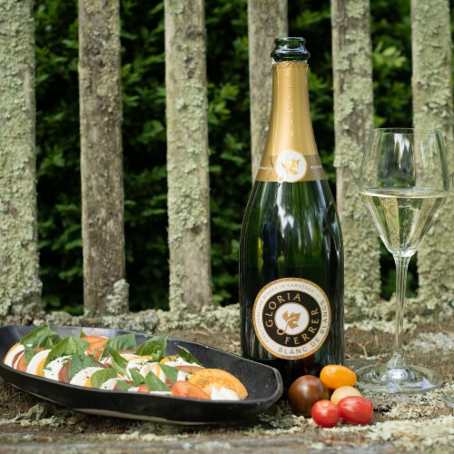 Gloria Ferrer Blanc de Blancs Chardonnay California Sparkling Wine Perspective: left