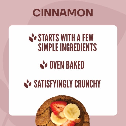Wasa Crisp Creations Cinnamon Large Crackers 9.4 oz Perspective: left