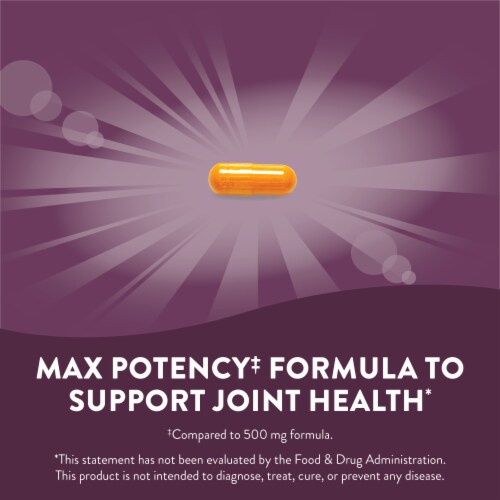 Nature's Way Premium Extract Turmeric Max Potency Vegan Capsules 750 mg Per Serving Perspective: left
