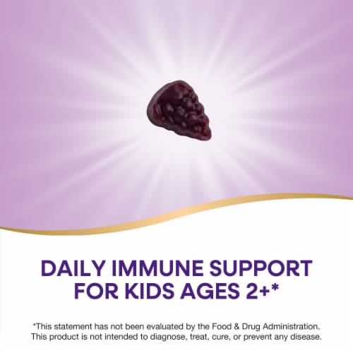 Nature’s Way Sambucus Kids Zero Sugar Immune Black Elderberry Extract Vitamin C Zinc Ages 2+ Gummies Perspective: left
