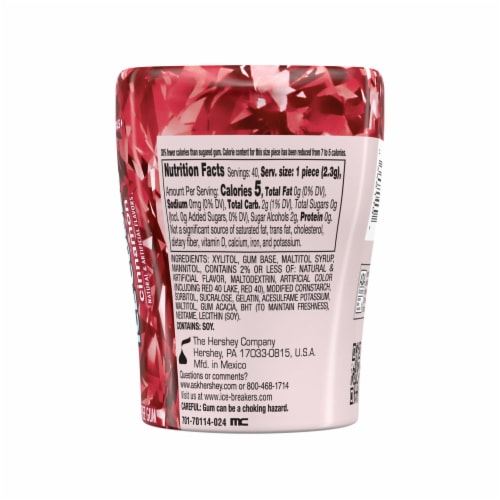 ICE BREAKERS Ice Cubes Cinnamon Sugar Free Chewing Gum Bottle Perspective: left