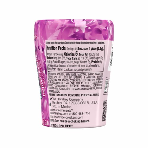 ICE BREAKERS Ice Cubes Raspberry Sorbet Flavored Sugar Free Chewing Gum Bottle Perspective: left