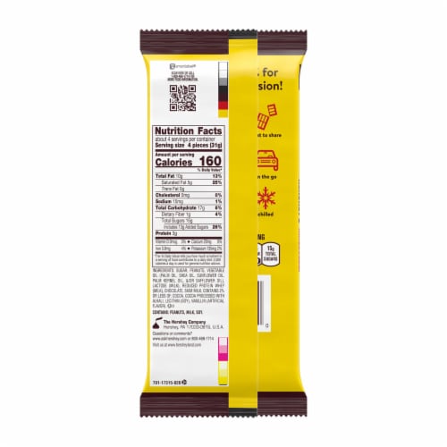 HERSHEY'S MR. GOODBAR Chocolate with Peanuts XL Candy Bar Perspective: left