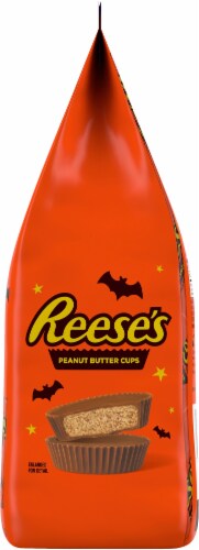 Reese's Peanut Butter Cups Snack Size Chocolate Candy Bag Perspective: left