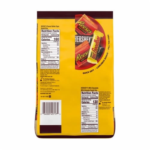 HERSHEY'S and REESE'S Assorted Chocolate Flavored Snack Size Candy Party Pack Perspective: left