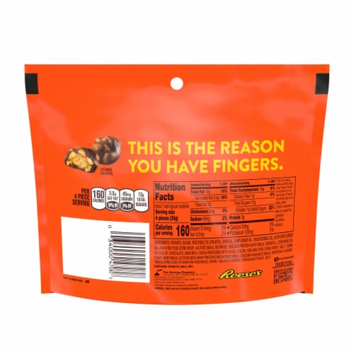 REESE'S CLUSTER BITES Peanut Butter Caramel and Peanuts Candy Bag Perspective: left