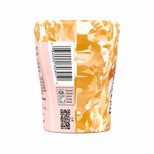 ICE BREAKERS Ice Cubes Orange Cream Pop Flavored Sugar Free Chewing Gum Bottle Perspective: left