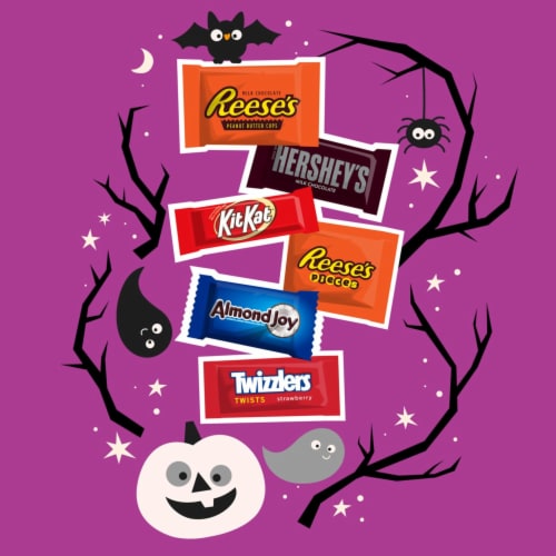 Hershey's All Time Greats Chocolate and Sweets Snack Size Candy Assortment Perspective: left