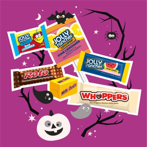 Hershey Mega Mix Chocolate and Fruit Flavored Assortment Candy Bulk Variety Bag Perspective: left