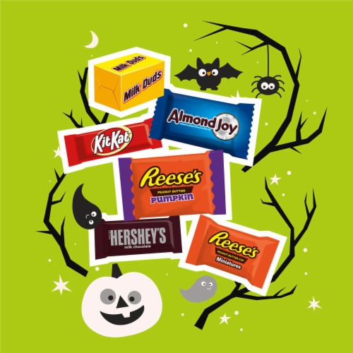 Hershey Assorted Chocolate Flavored Halloween Candy Variety Bag Perspective: left