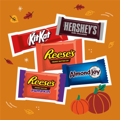 Hershey Assorted Chocolate Flavored Snack Size Halloween Candy Bag Perspective: left