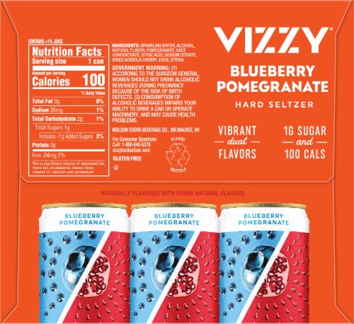 Vizzy Blueberry Pomegranate Hard Seltzer Perspective: left